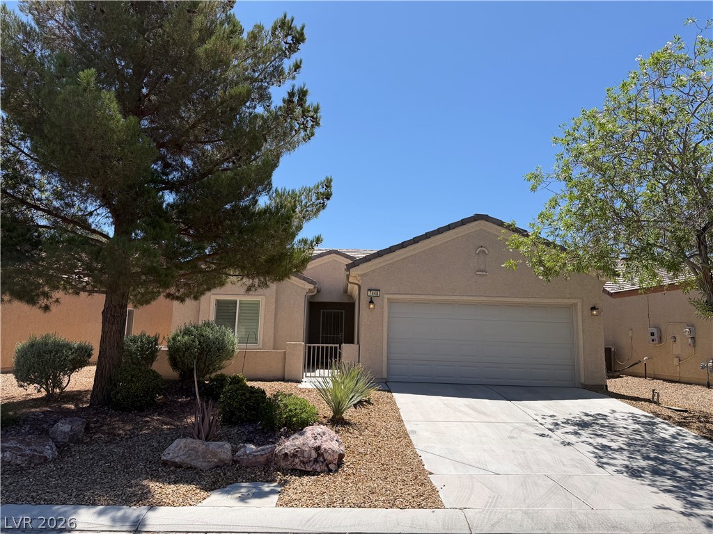 7448 Chipping Sparrow Street