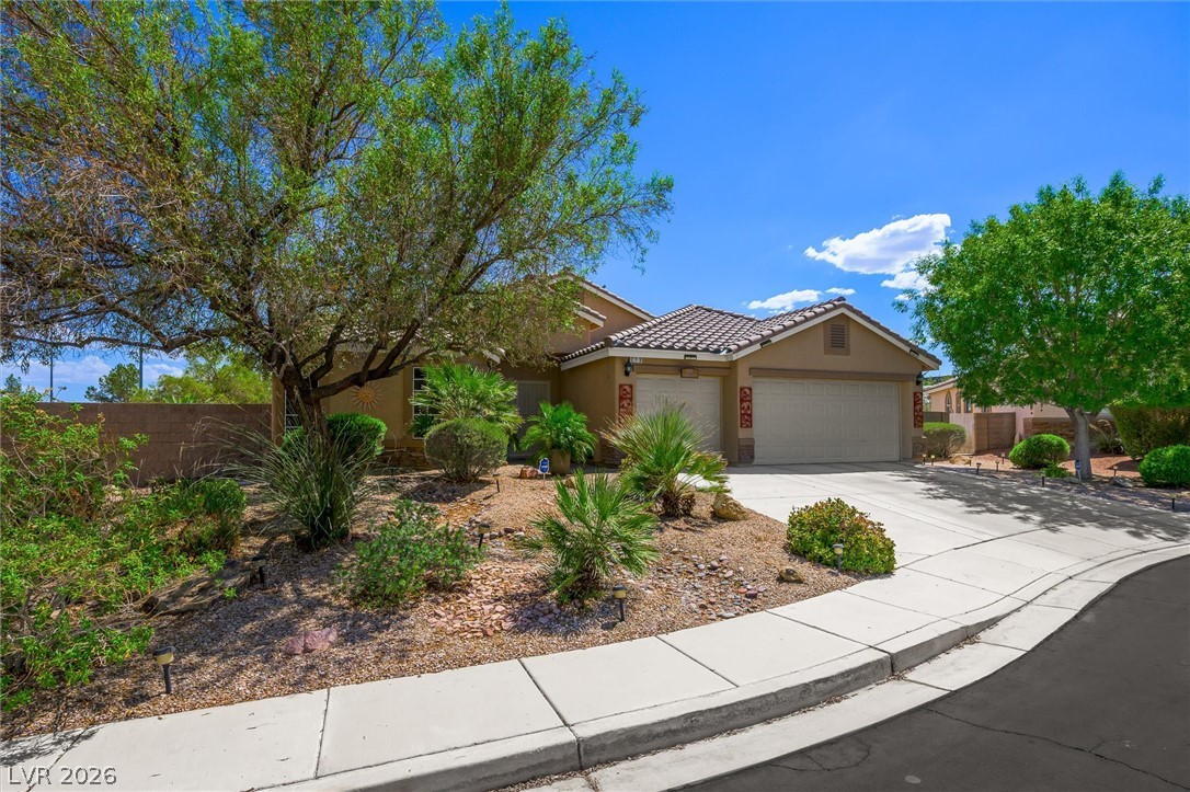 213 Whitetail Archery Avenue