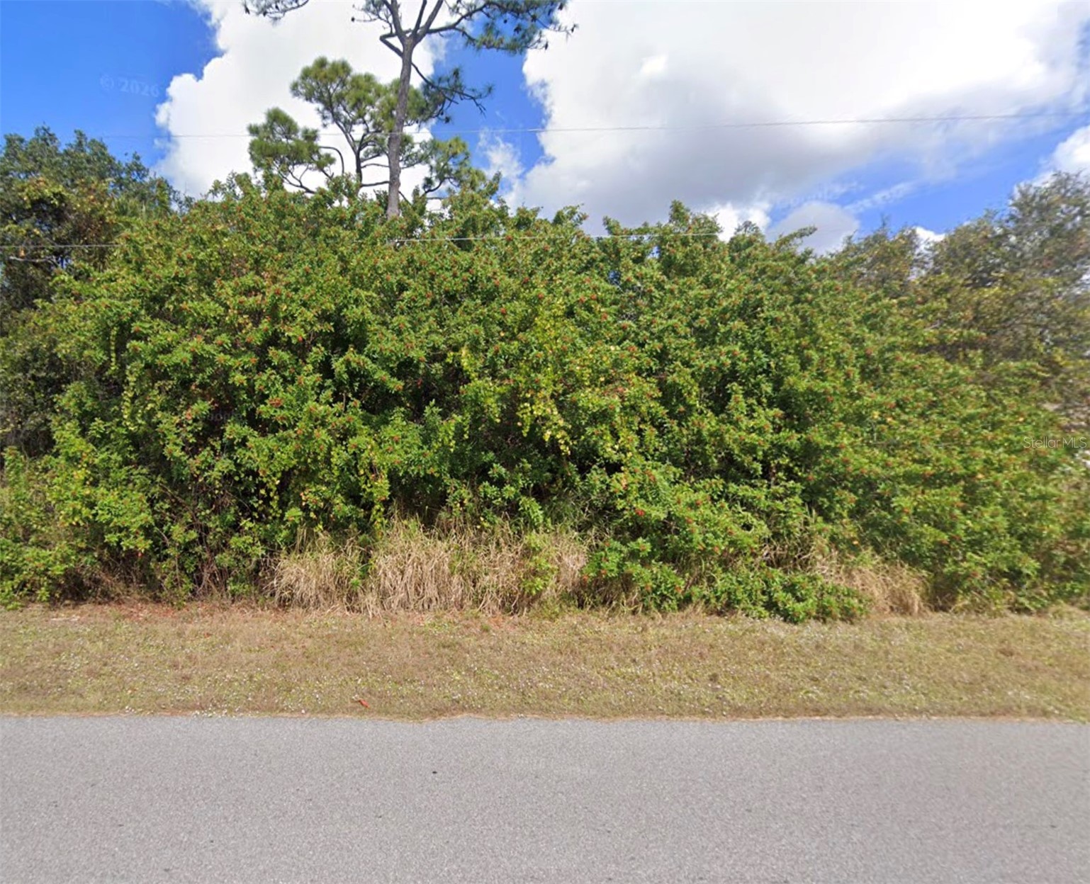 Lot 19 E HILLSBOROUGH BLVD