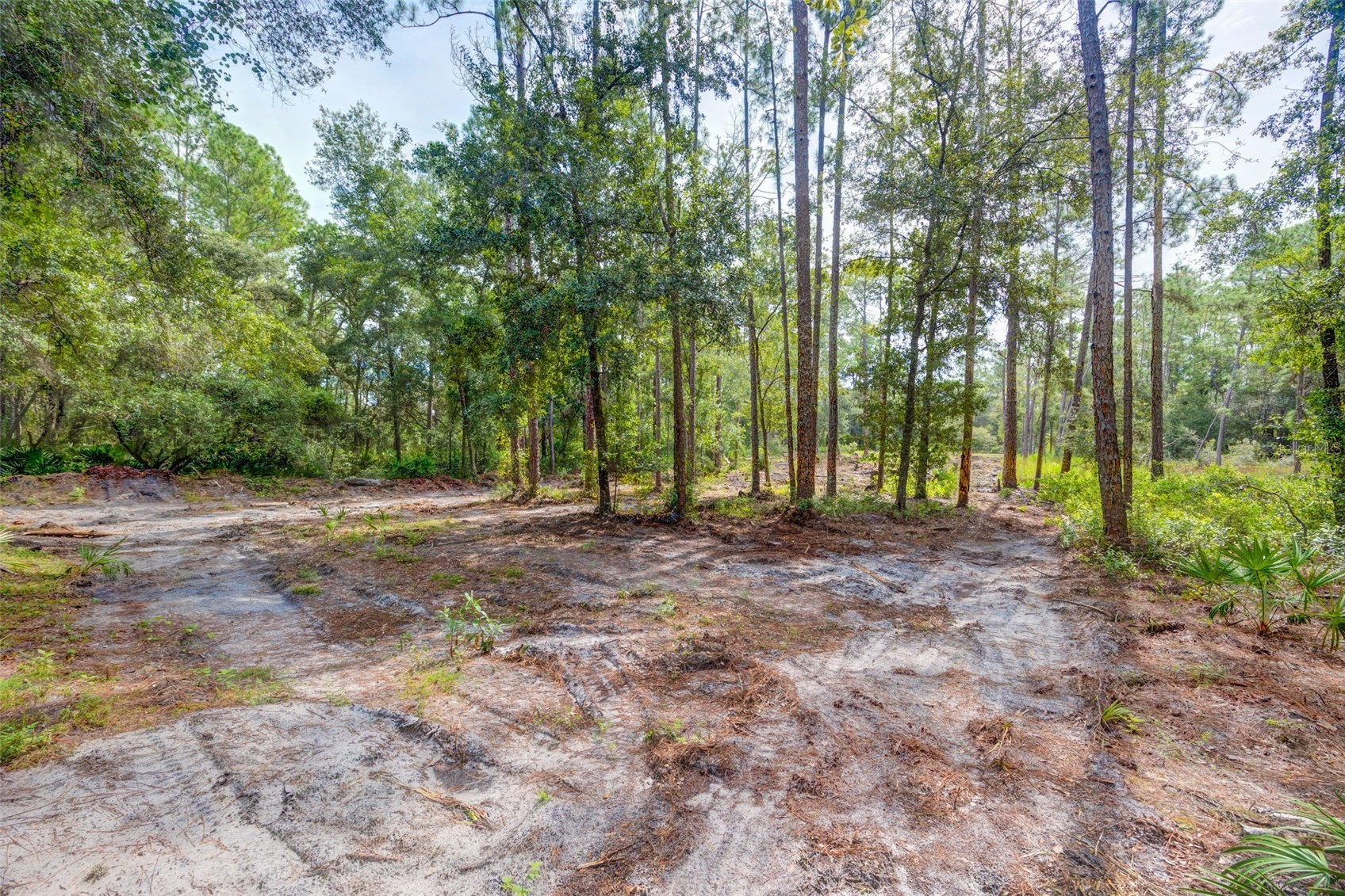 34389 GRINDSTONE DRIVE