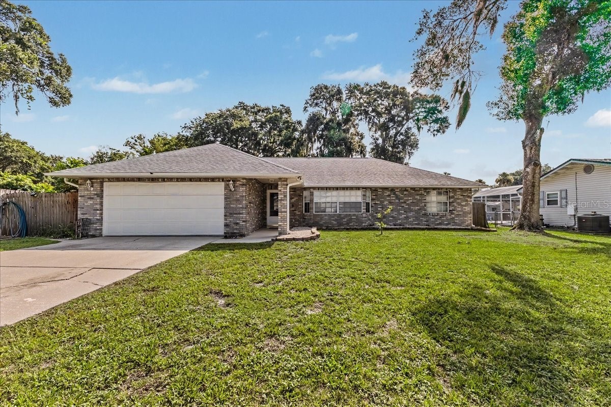 2311 PINE TREE