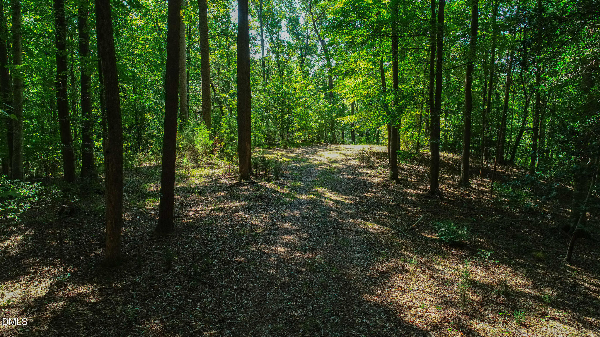4.54 Acres Rassie Crabtree Road, Rougemont, NC 27572