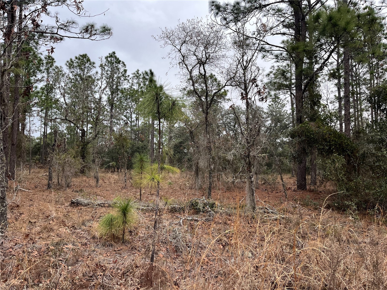 Lot 57 NW SKYLARK STREET
