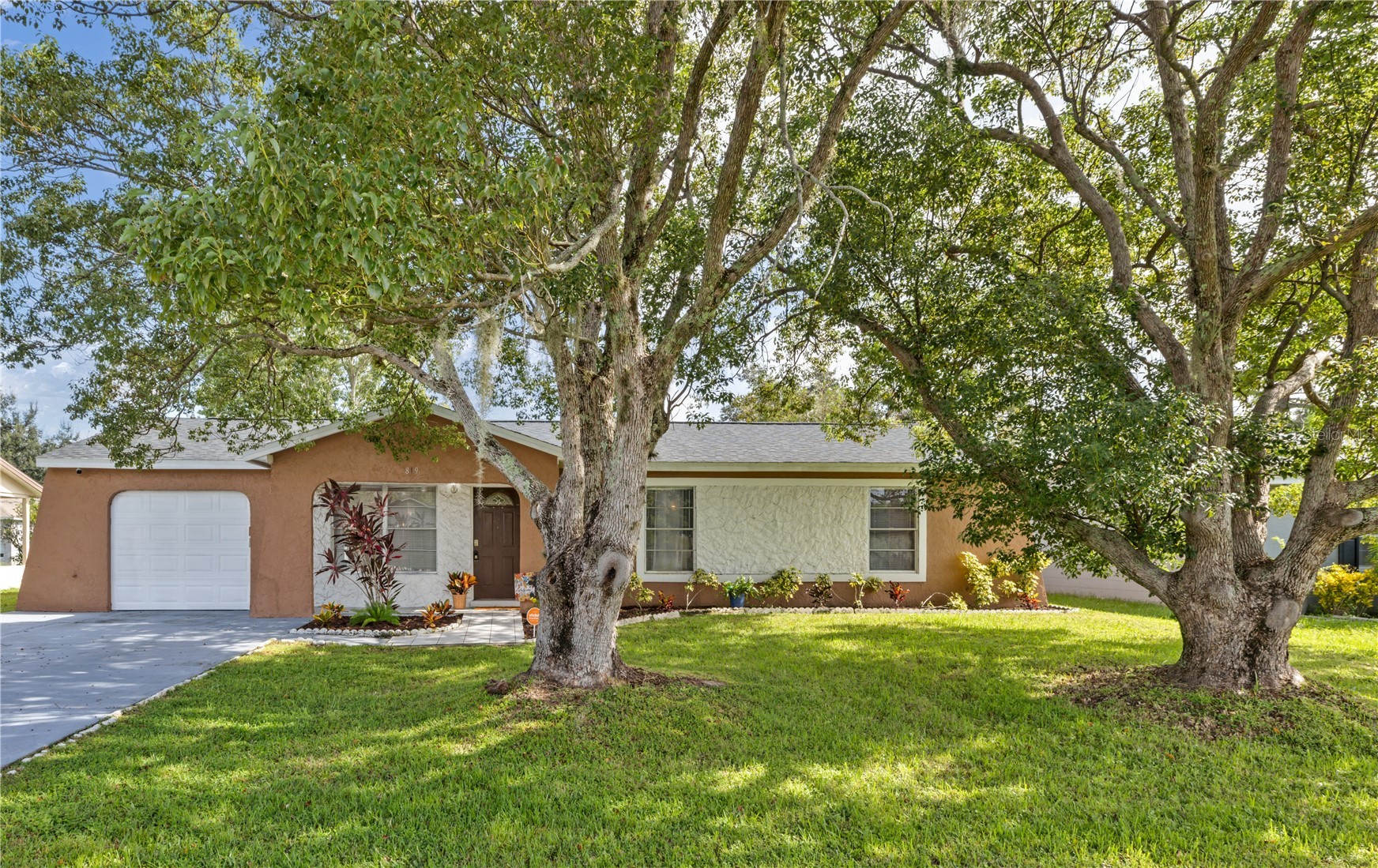 819 NELSON DRIVE