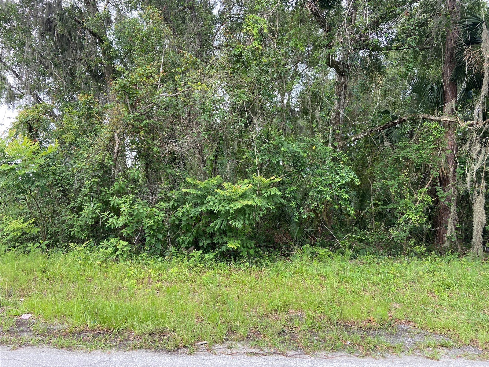 WILSON AVENUE
