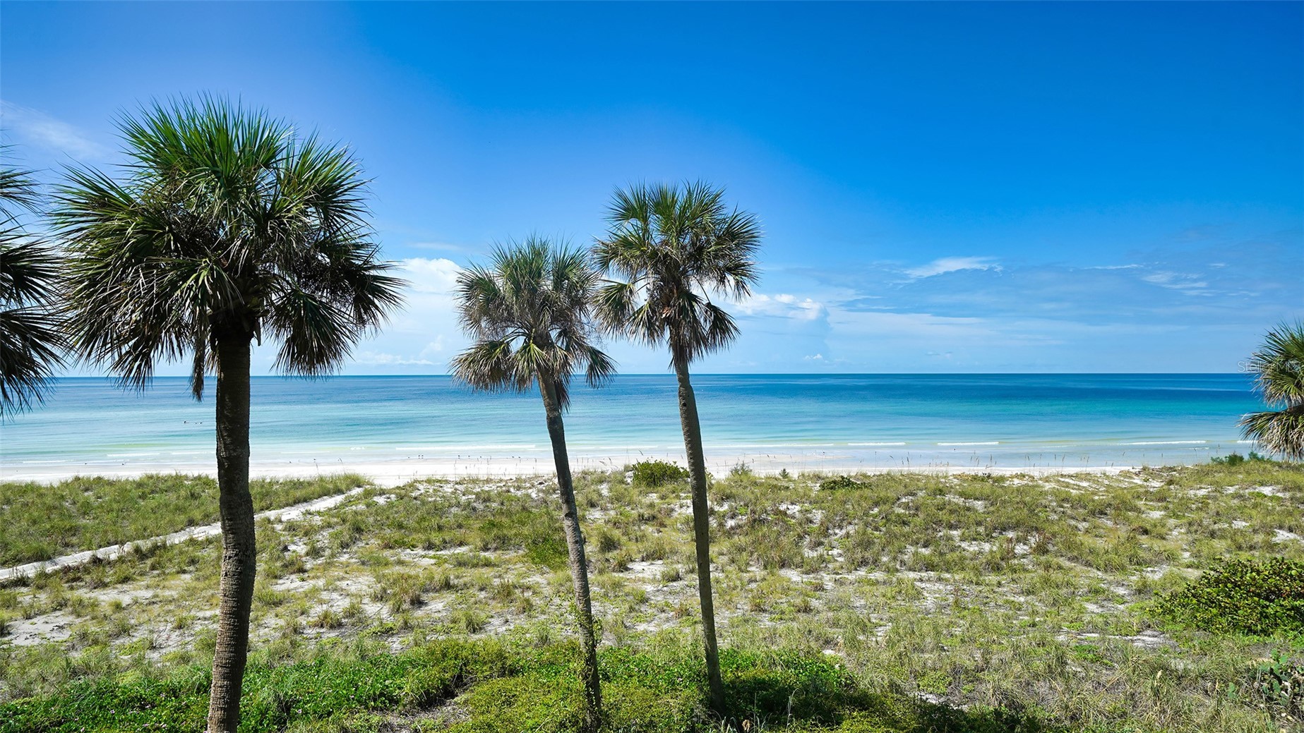 4325 GULF OF MEXICO DRIVE 305