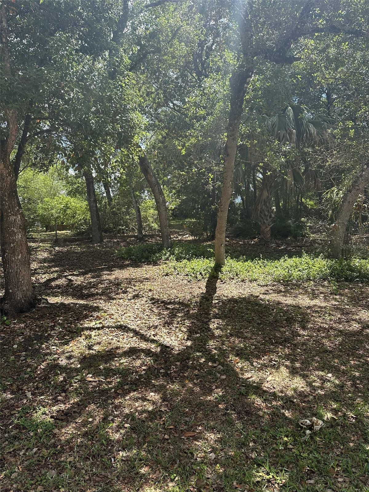 E ELM DRIVE