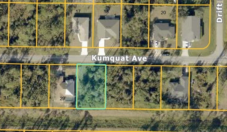 KUMQUAT AVENUE