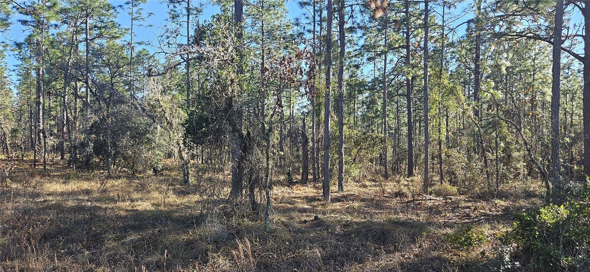 Lot 13 NW WATER OAK AVENUE