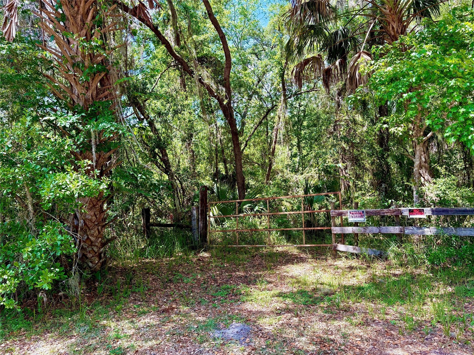 OLD CRYSTAL RIVER ROAD