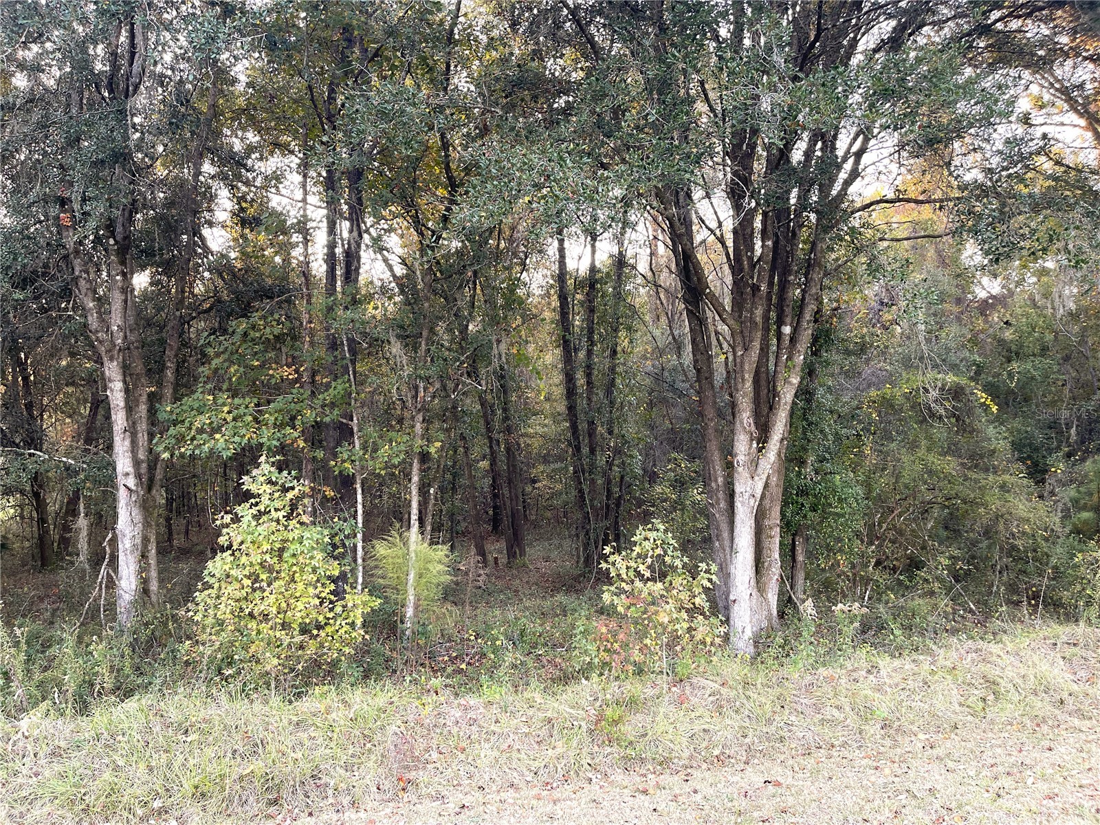 NW 145TH AVE LOT 25