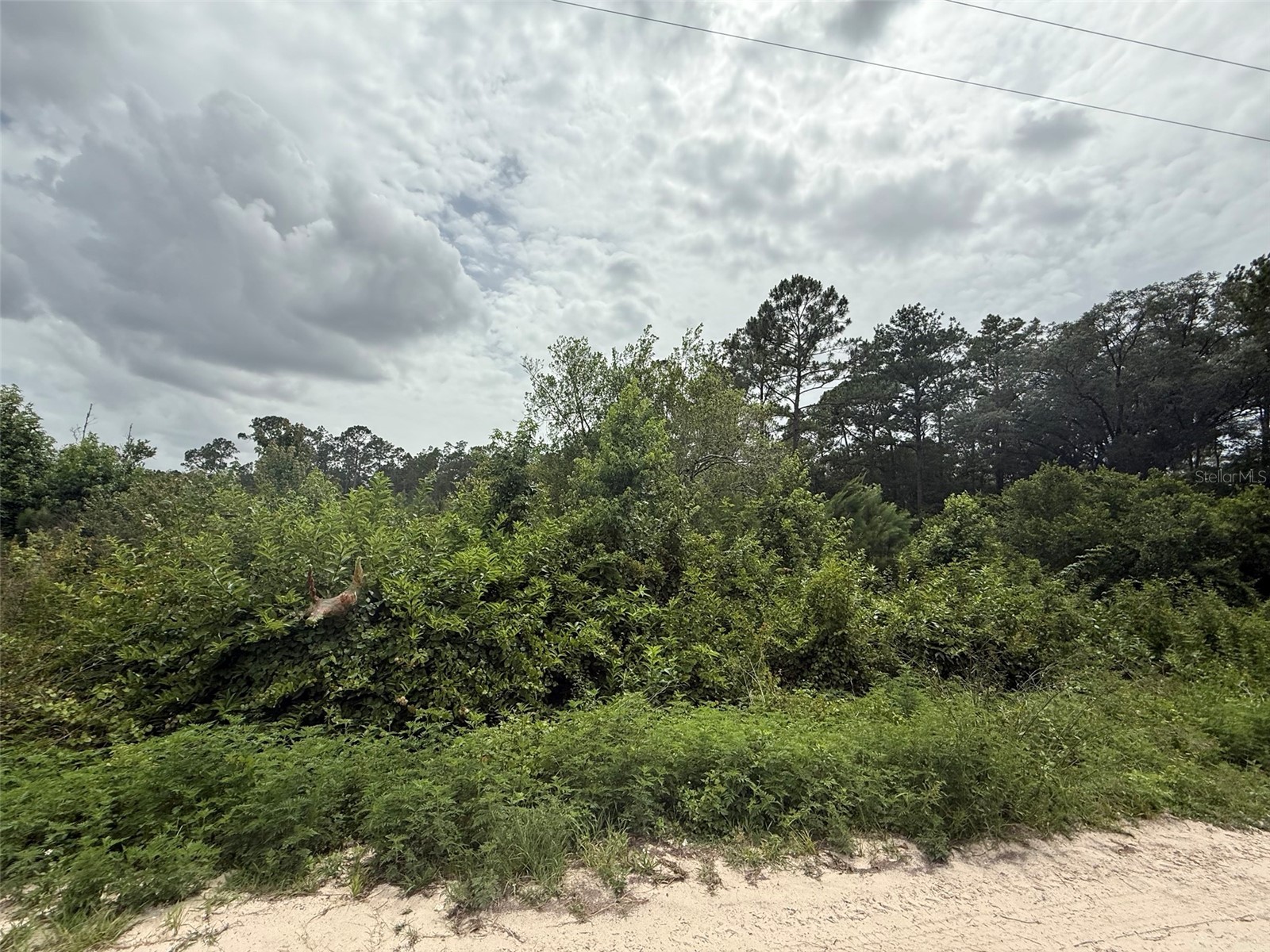 129 FISHERMANS DRIVE