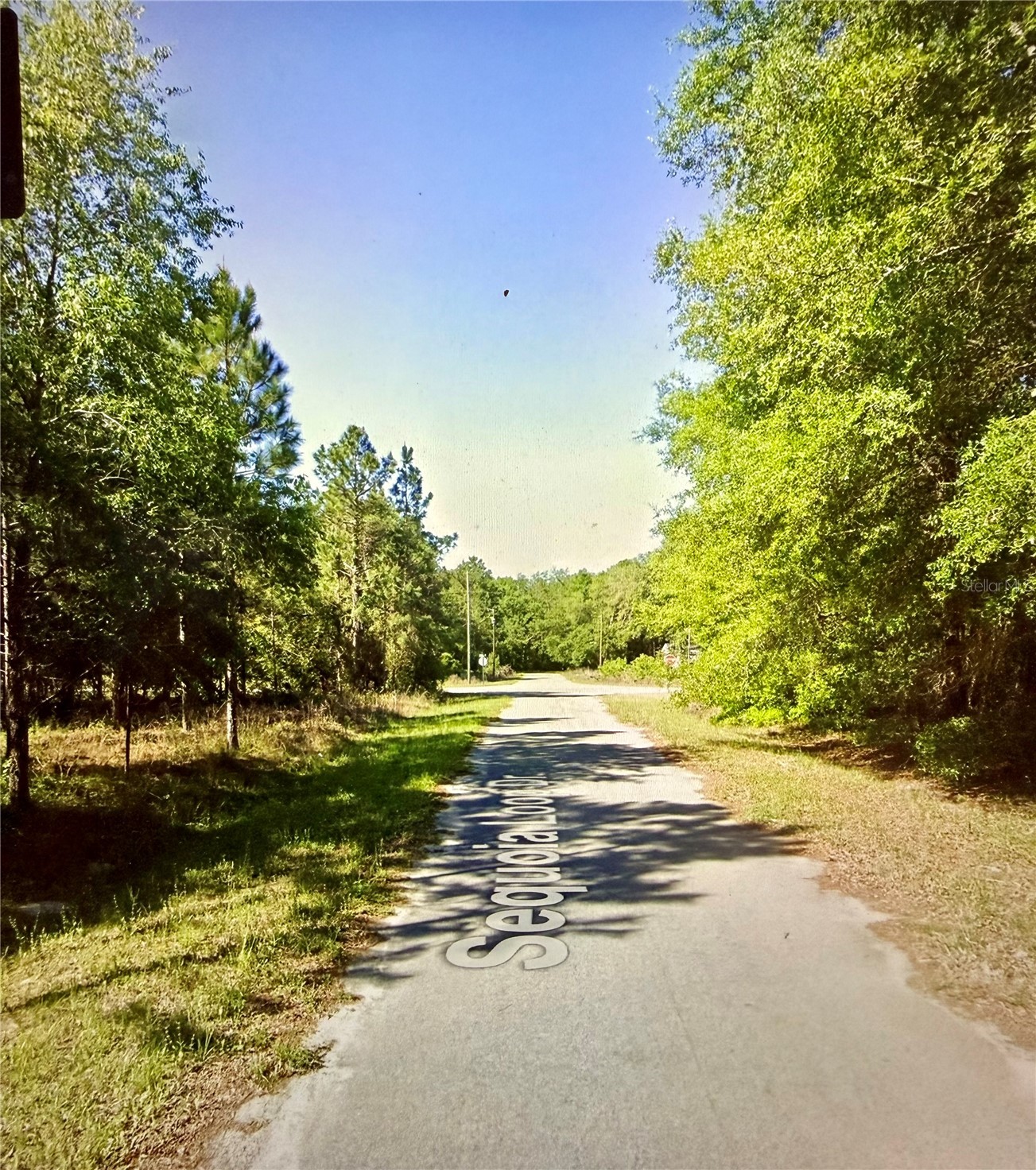 Lot 39 SE SEQUOIA LOOP DRIVE