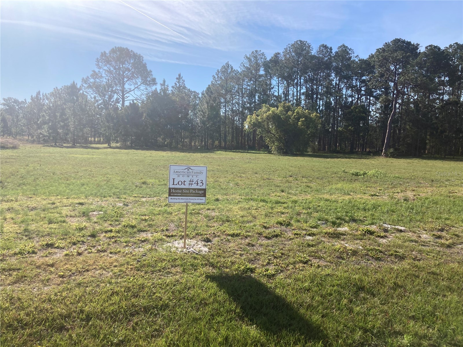 38518 WOODED MEADOW DRIVE
