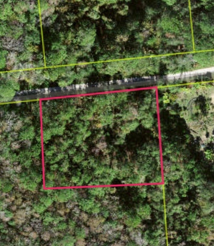 Lot 48 AMELIA TRAIL