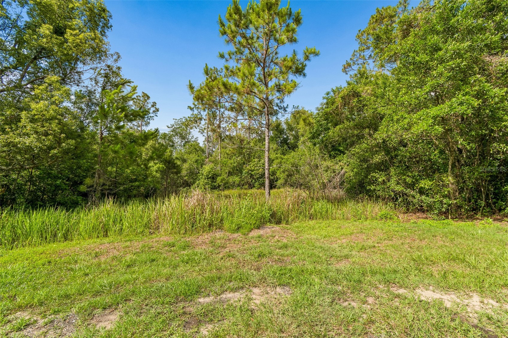 00 HAMRICH