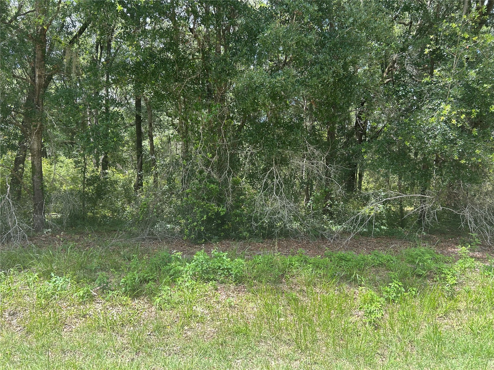 SW 111 LANE