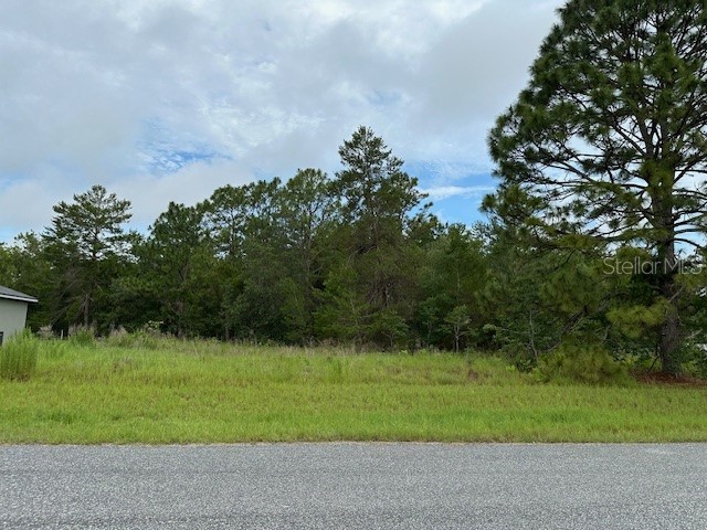 Lot 7 SW 48 COURT ROAD