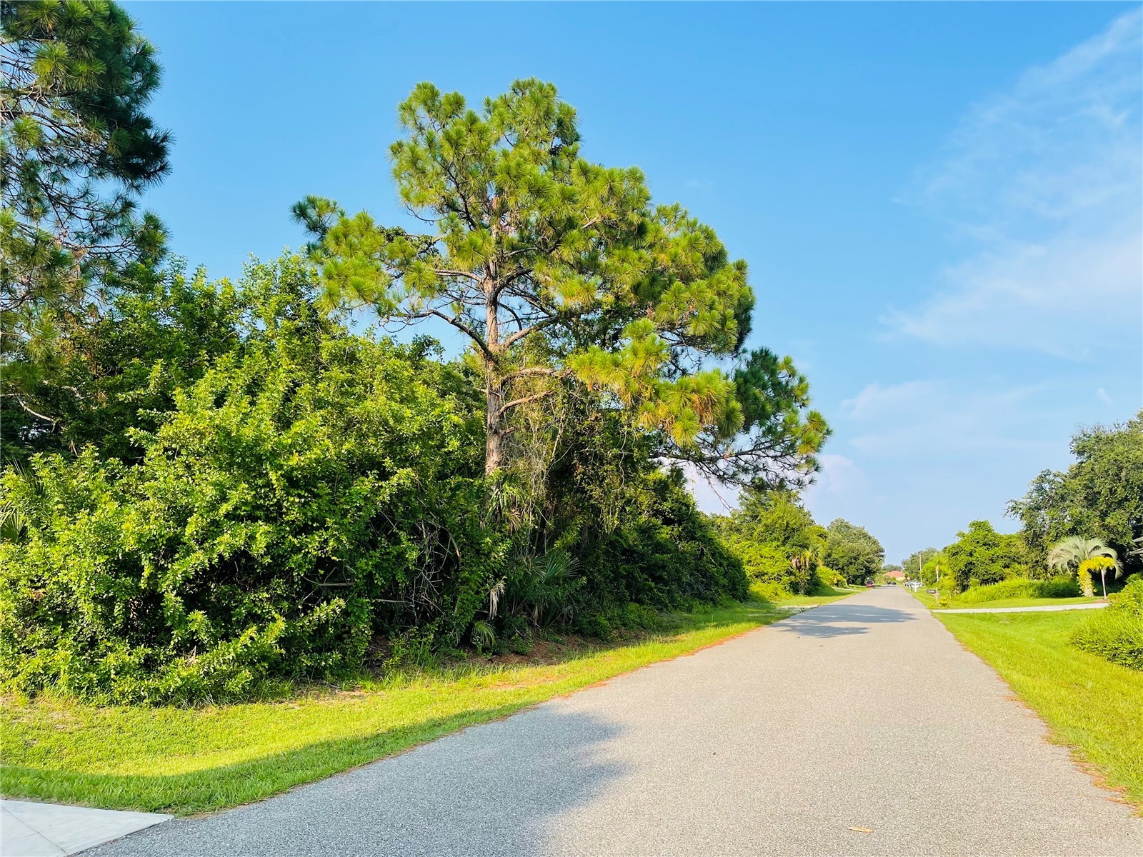 LOT 12 ATTALLA AVENUE