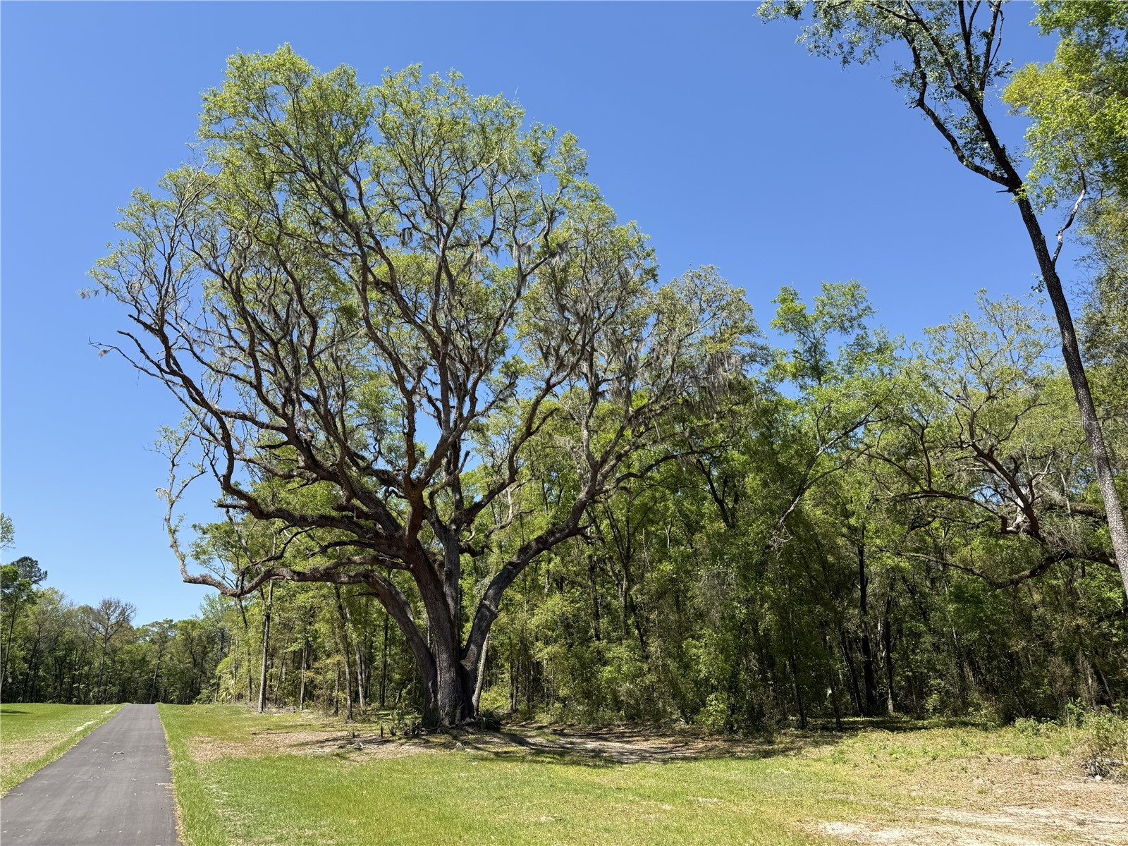 Irvine Acres #5 (13ac) W HWY 318