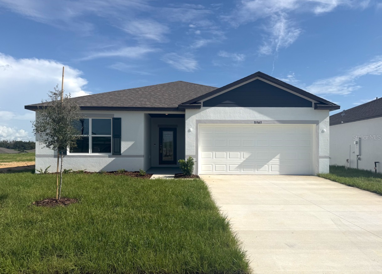 31563 WILD GRAPE LANE