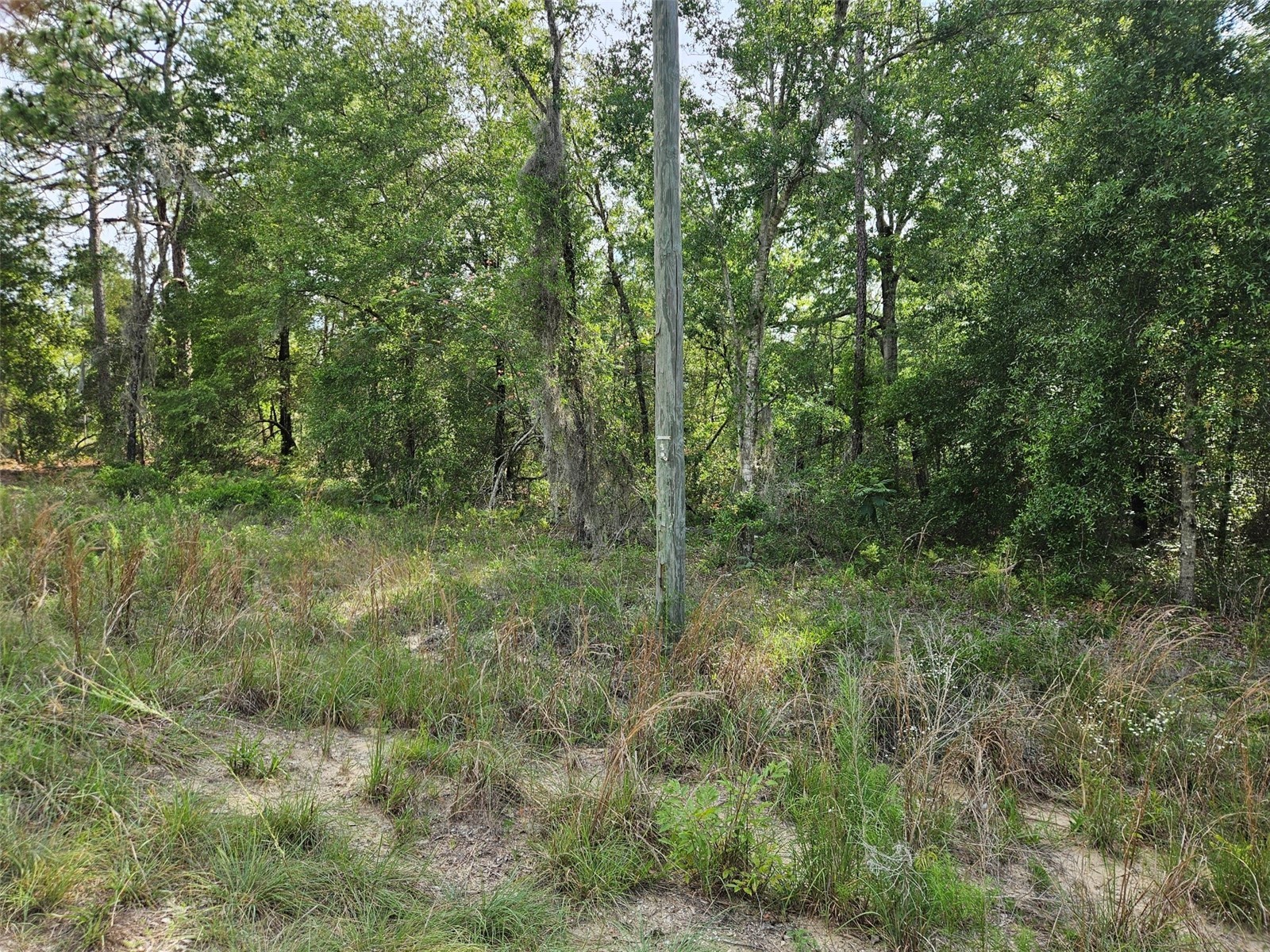 tbd NE 153RD AVENUE
