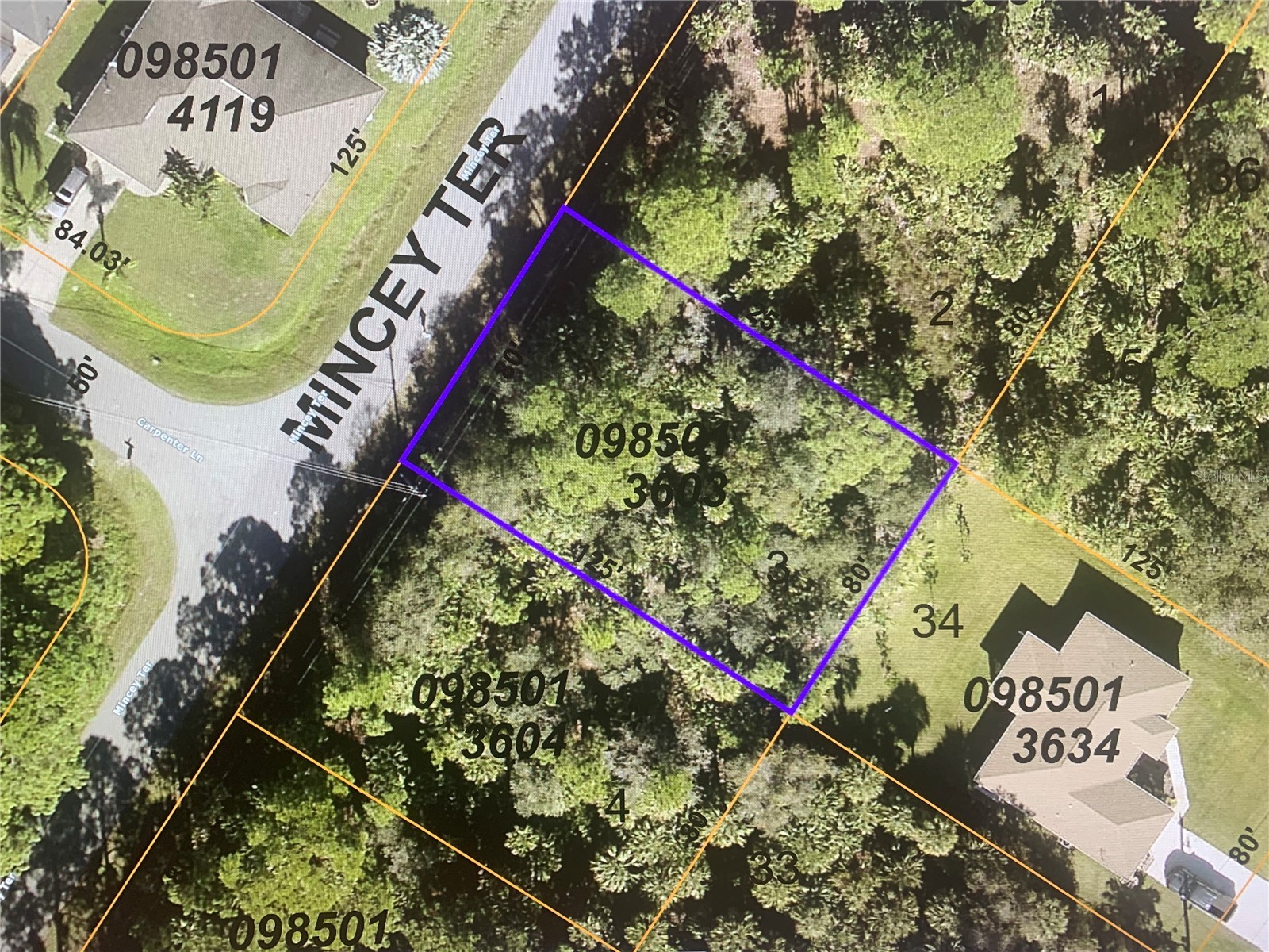 LOT 3 MINCEY TERRACE