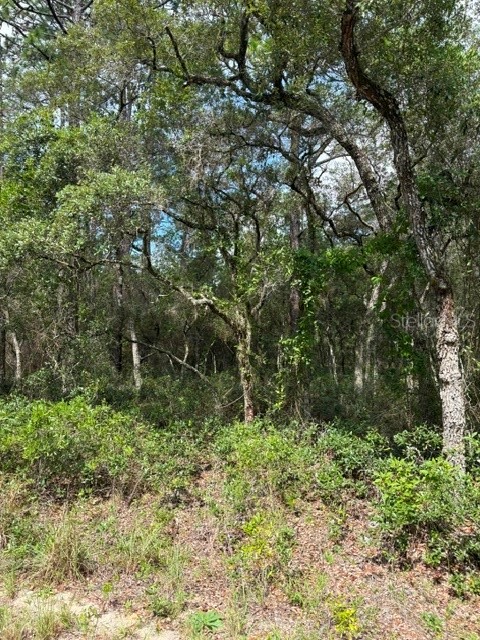 TBA SW WINDING HILLS ROAD