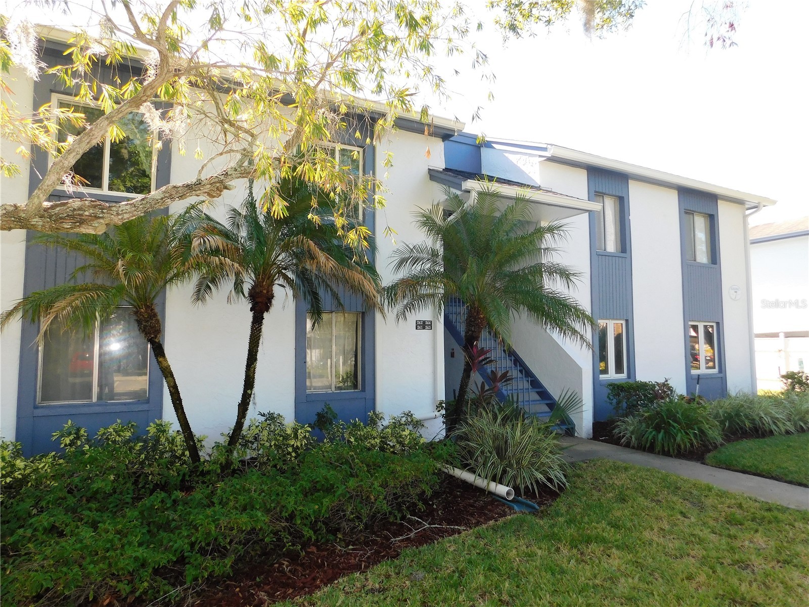 244 CYPRESS LANE 244