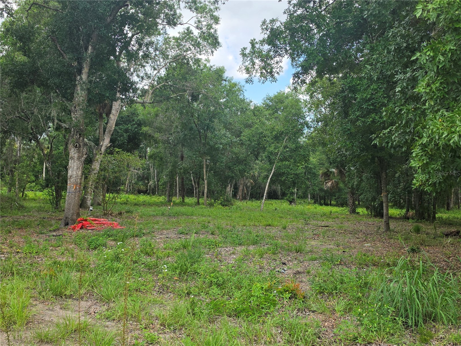 180 OAK DRIVE