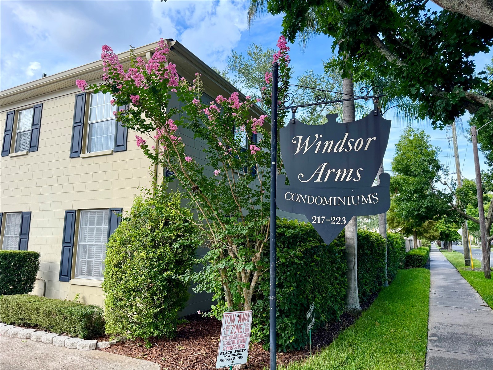 223 WINDSOR STREET 6