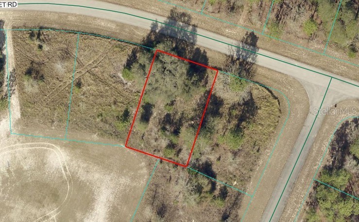 TBD LOT 11 SW 144TH ST ROAD