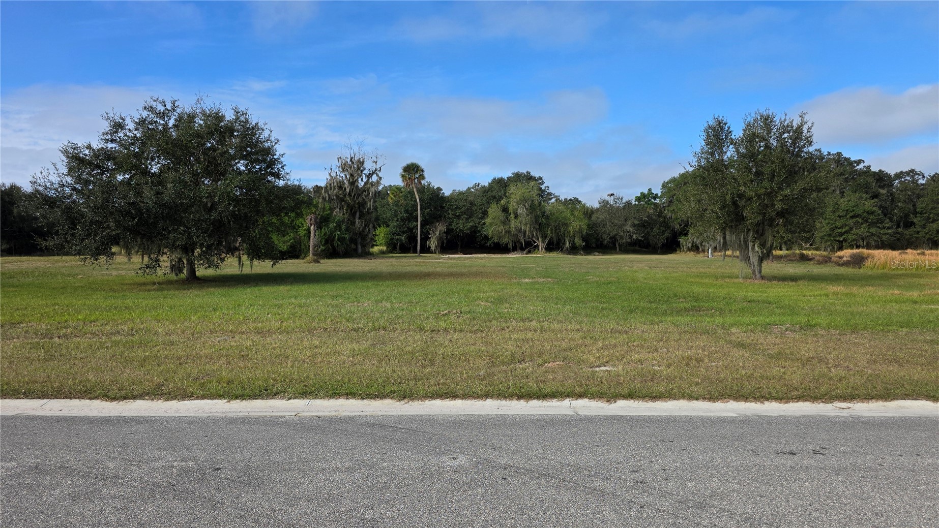 15311 FISHHAWK HEIGHTS RUN