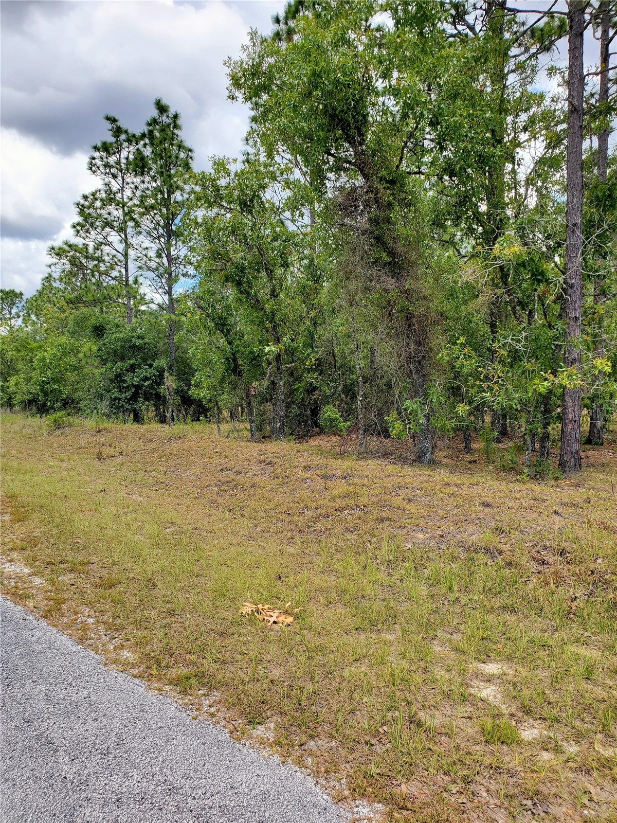 PONY RIDGE DR