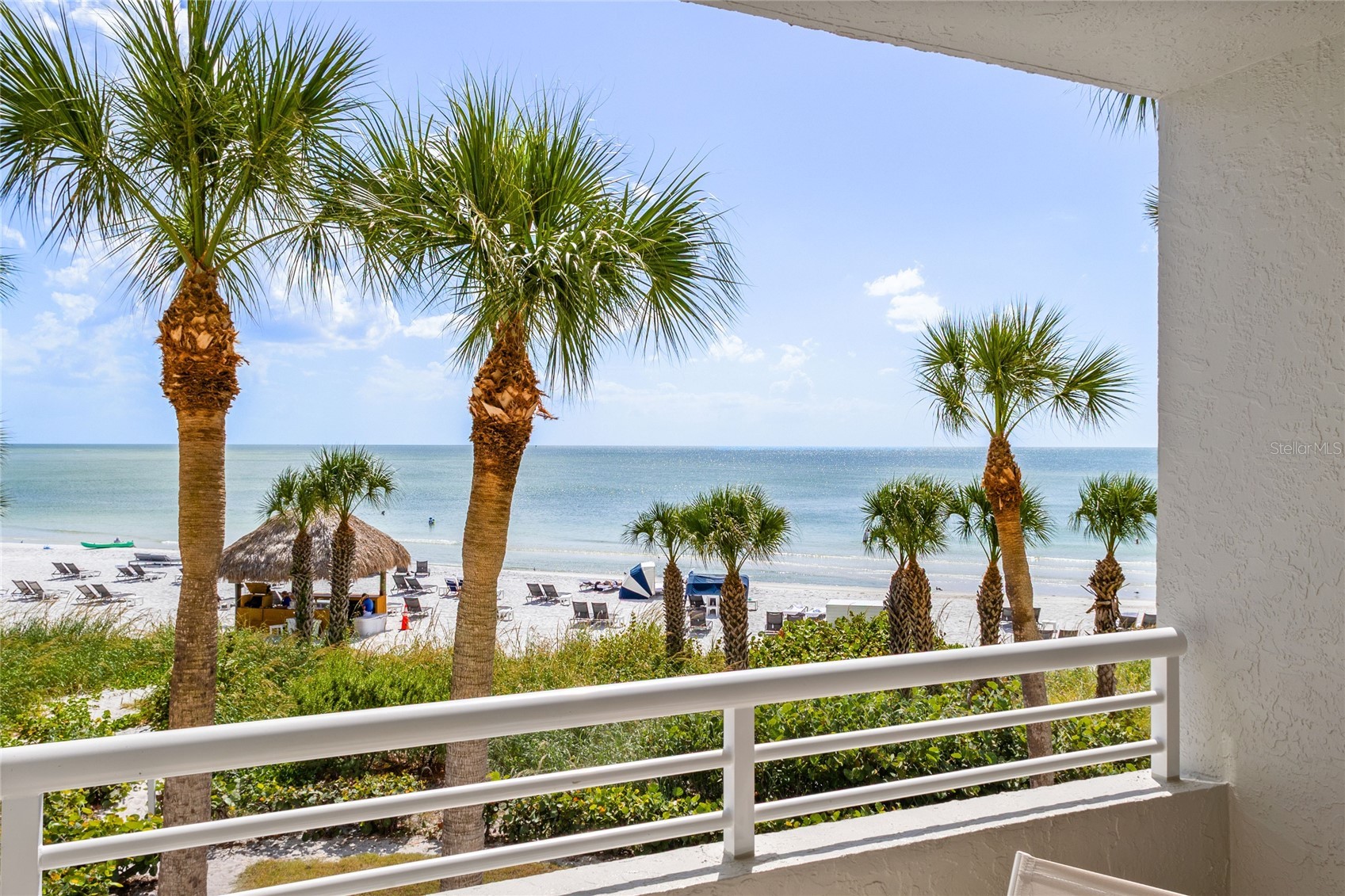 230 SANDS POINT ROAD 3205