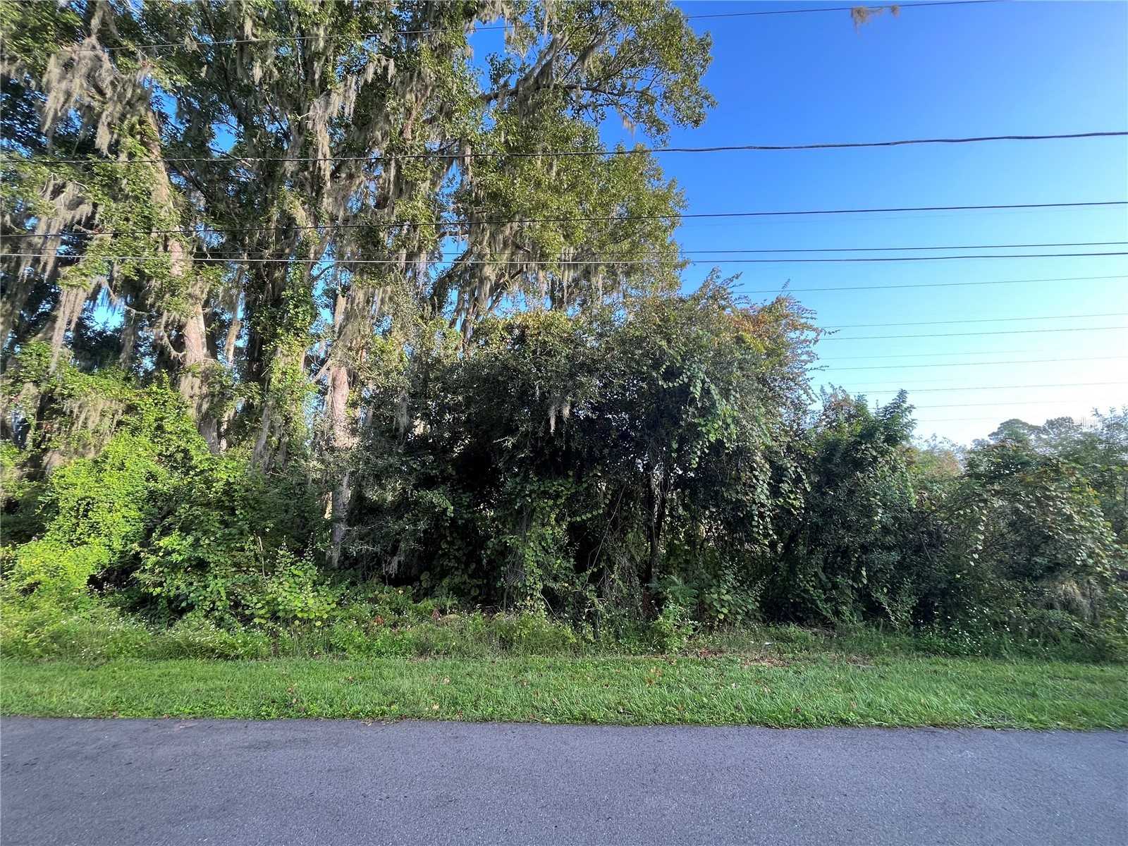 266 TOMS ROAD