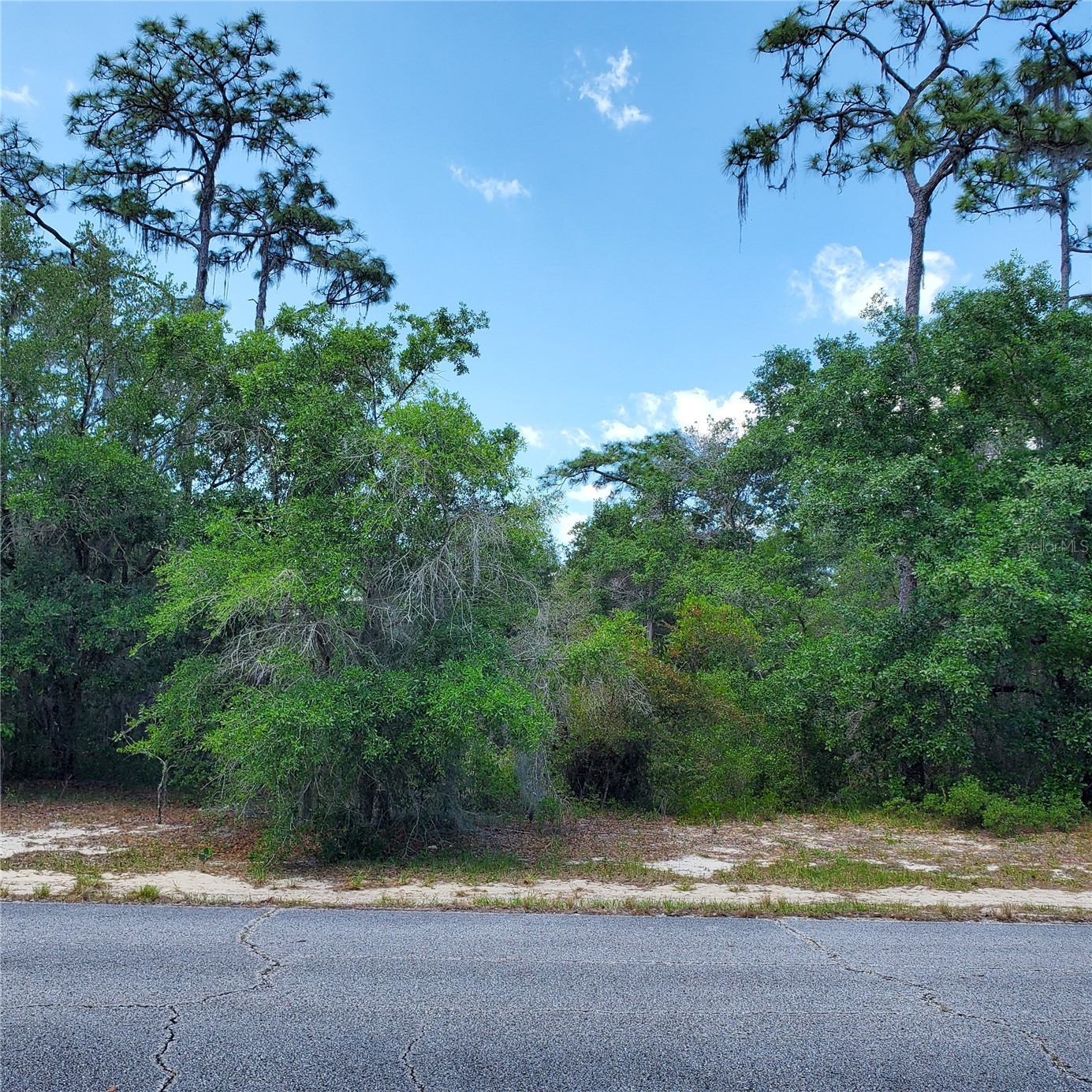 1345 ST AUGUSTINE COURT