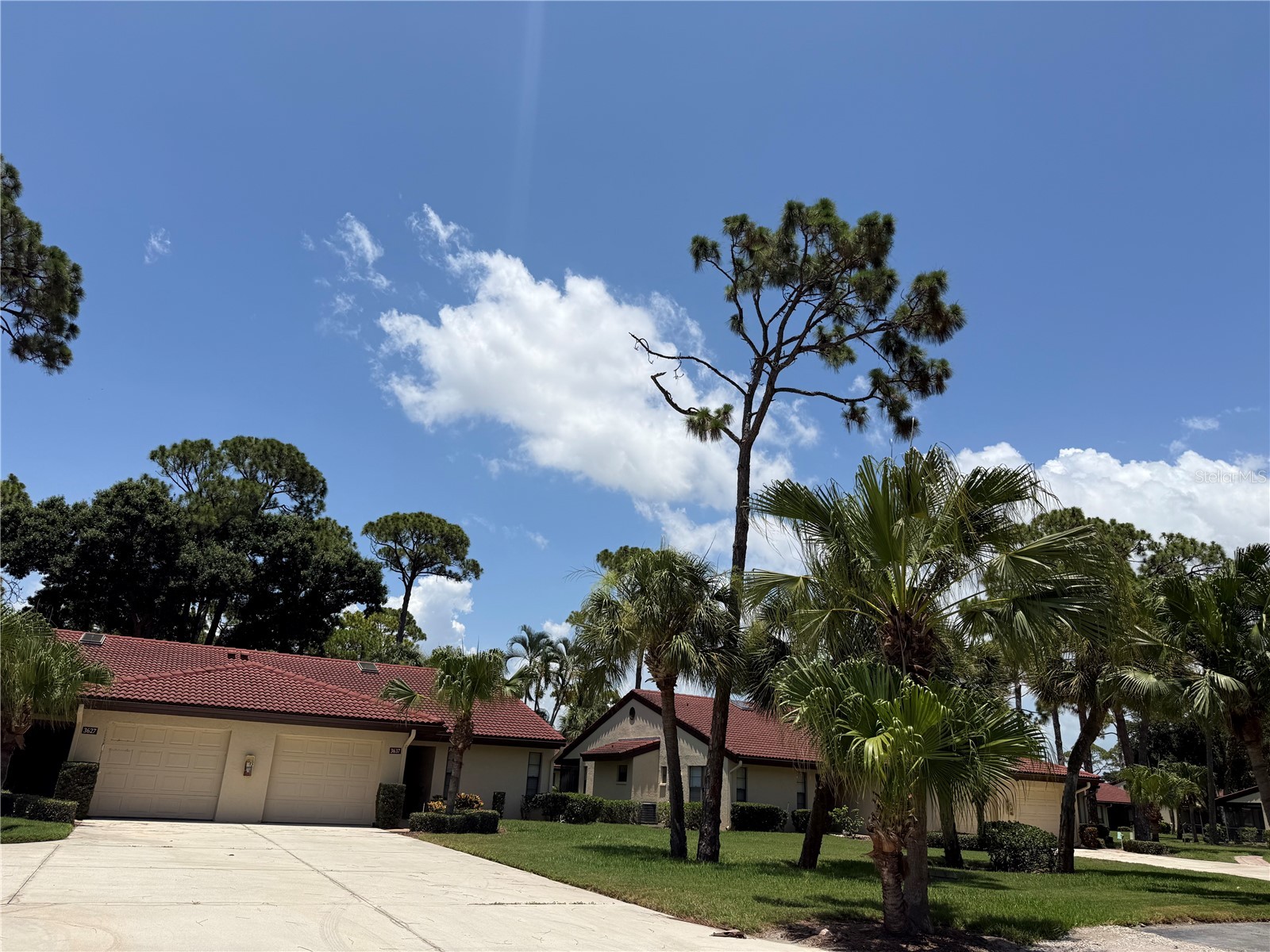 3637 YELLOW PINE COURT 146