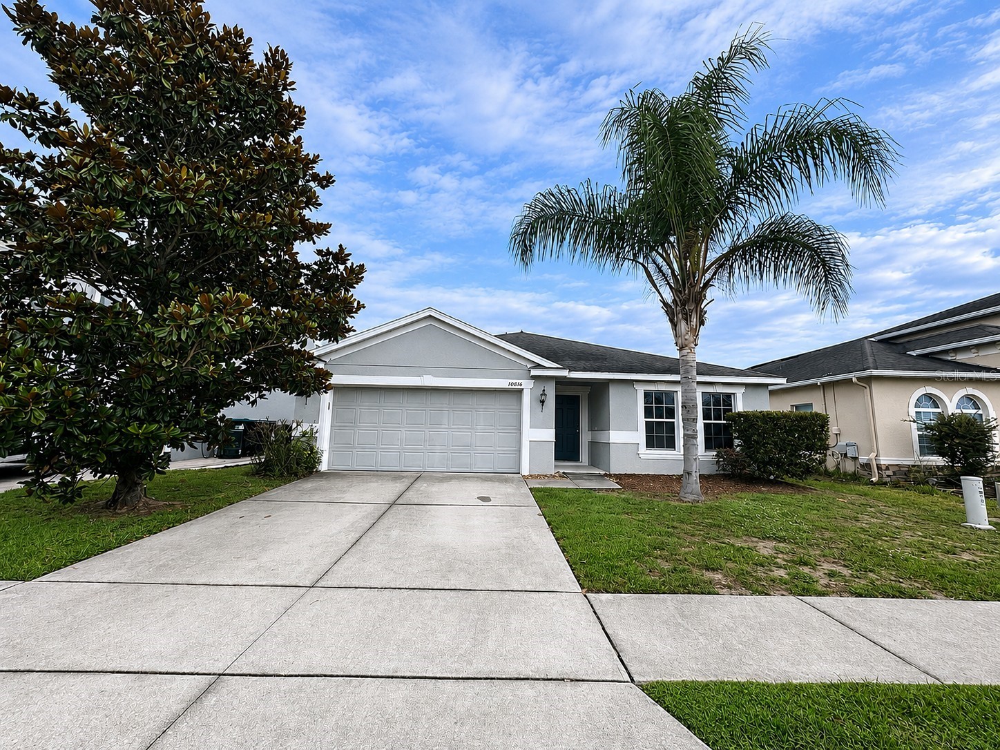 10816 CABBAGE TREE LOOP