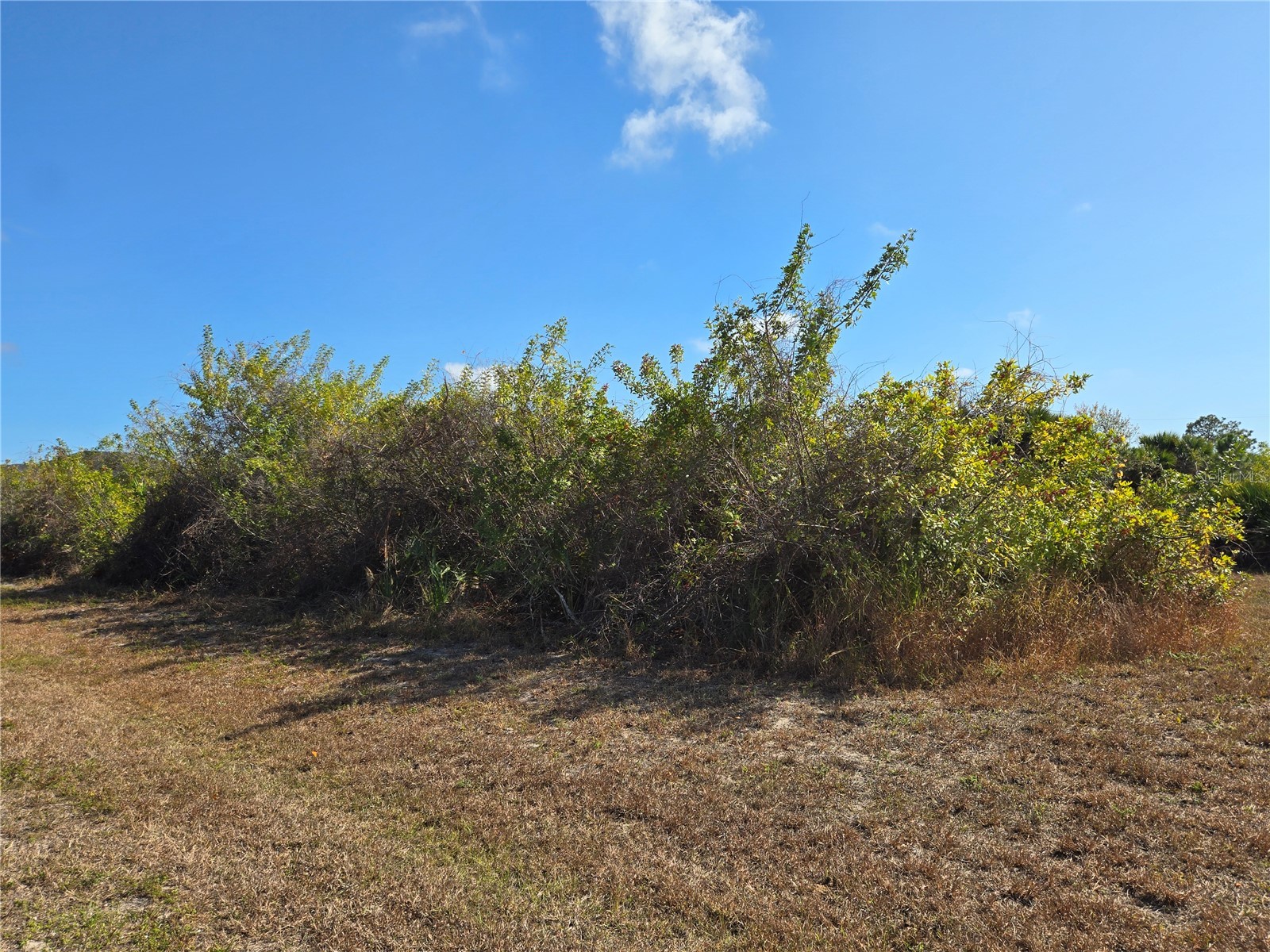 277 BAYTREE DRIVE