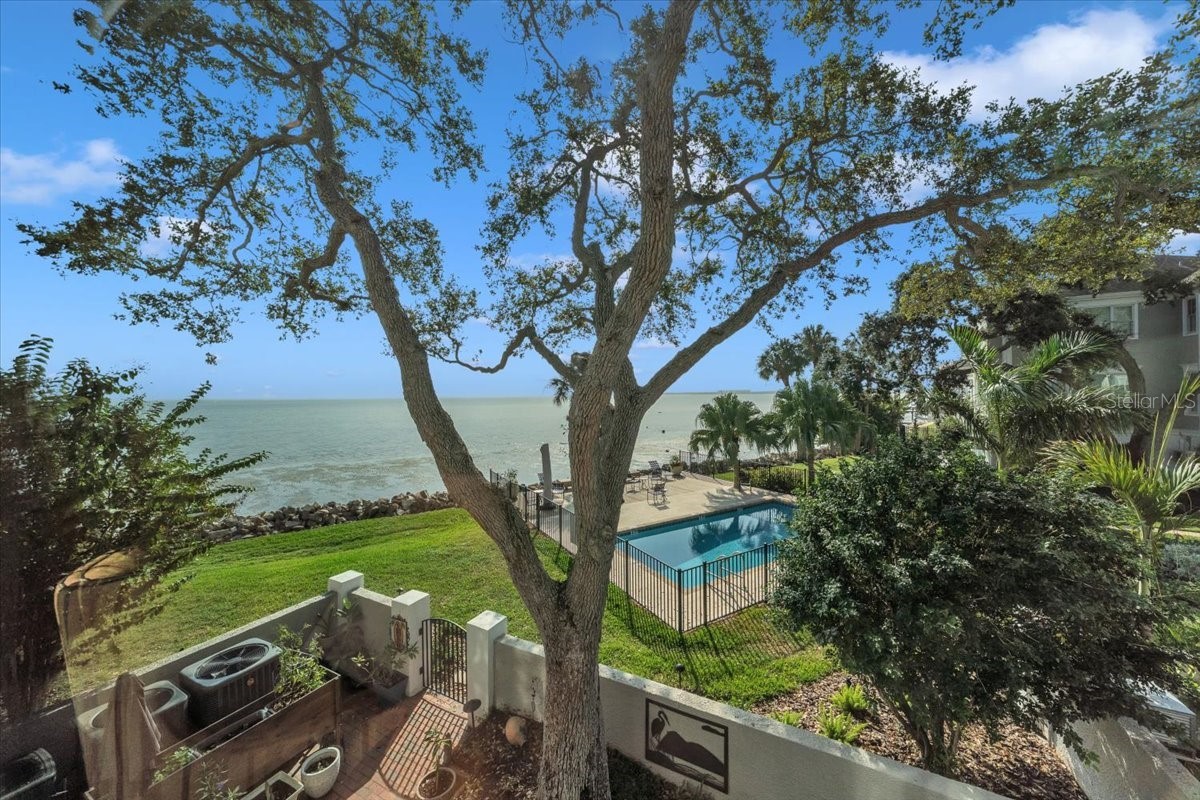 6212 BAYSHORE BOULEVARD K
