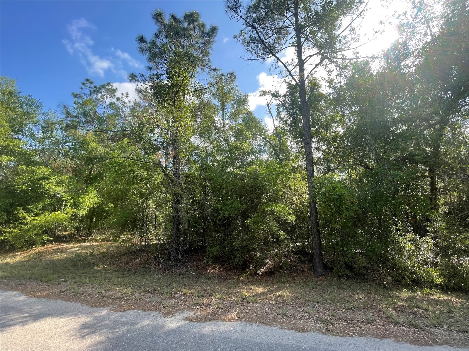TBD SEQUOIA DRIVE Lot 16
