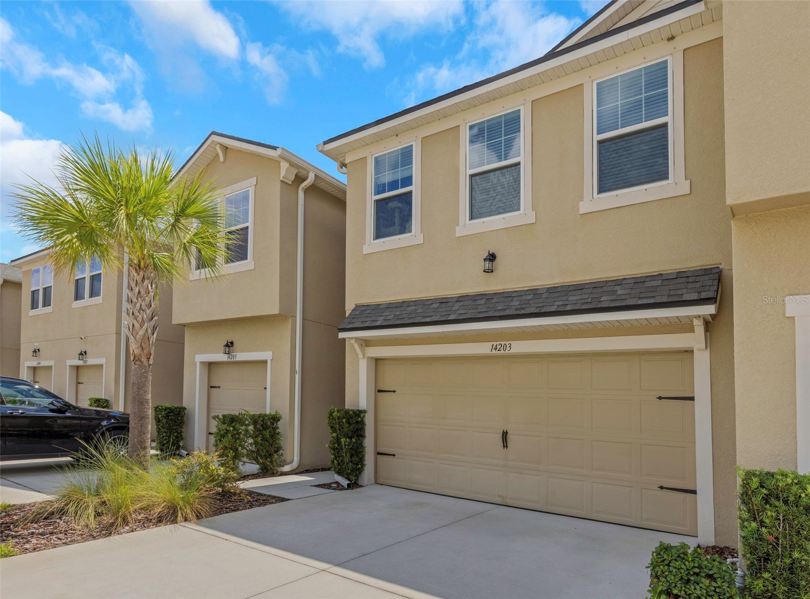 14203 DAMSELFLY DRIVE