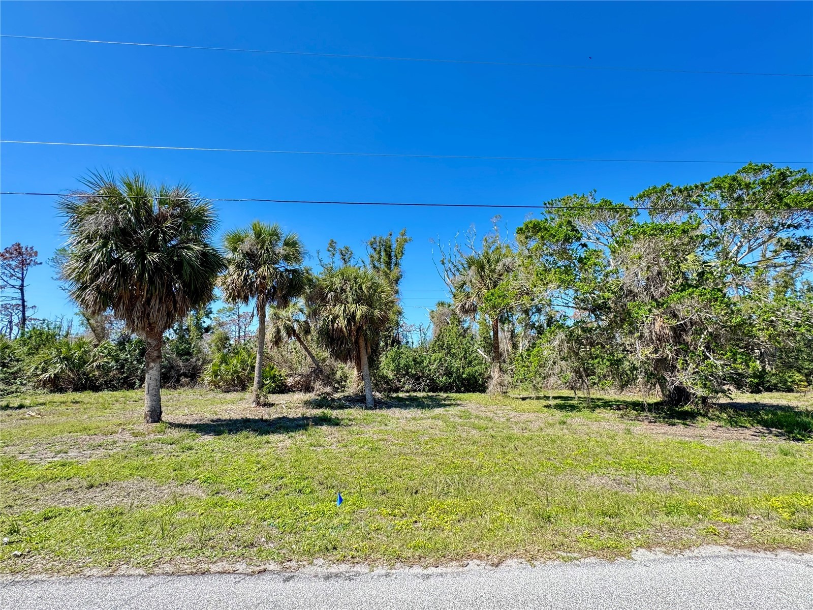 50 COBIA DRIVE