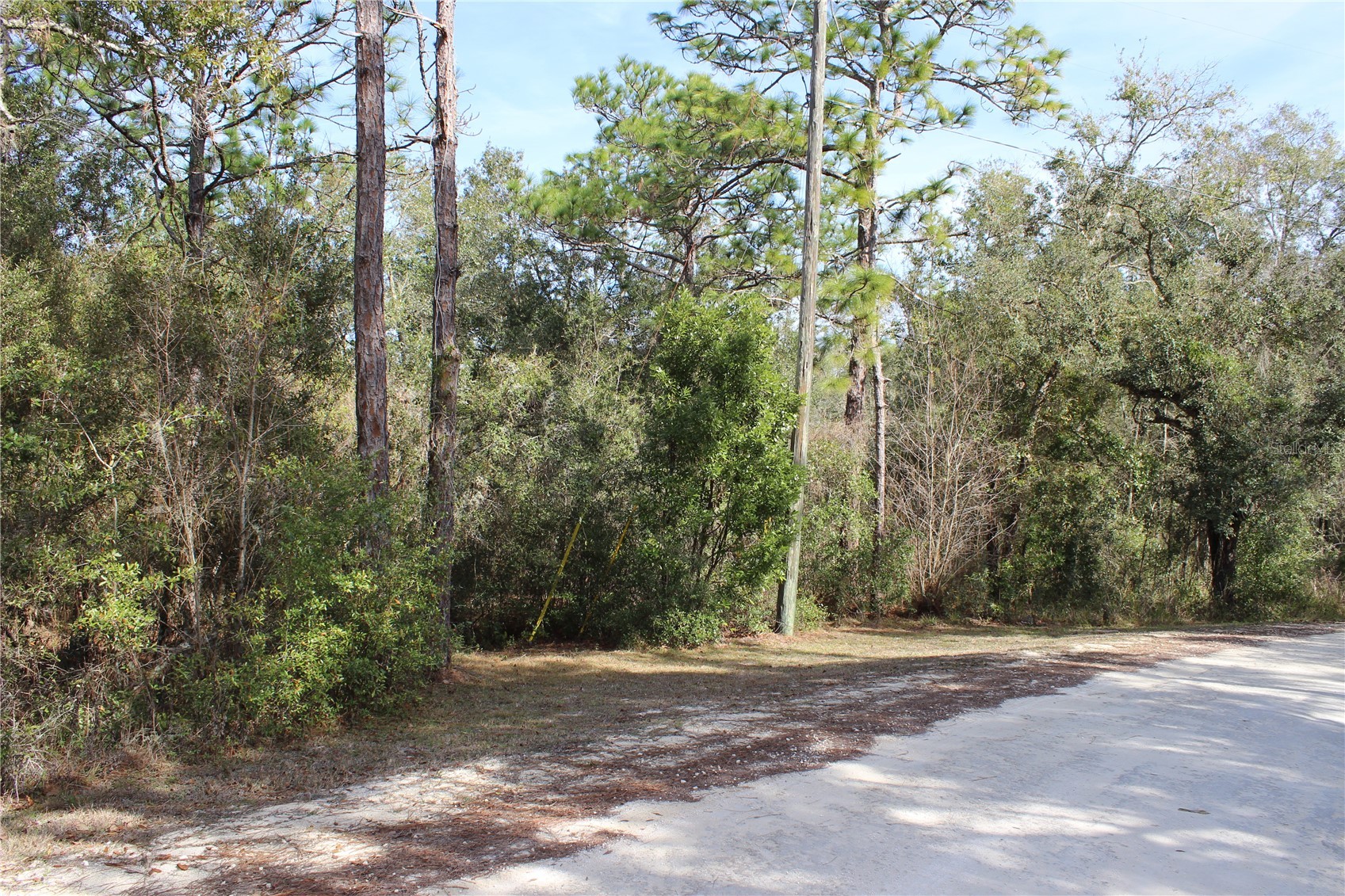 34273 BELT DRIVE