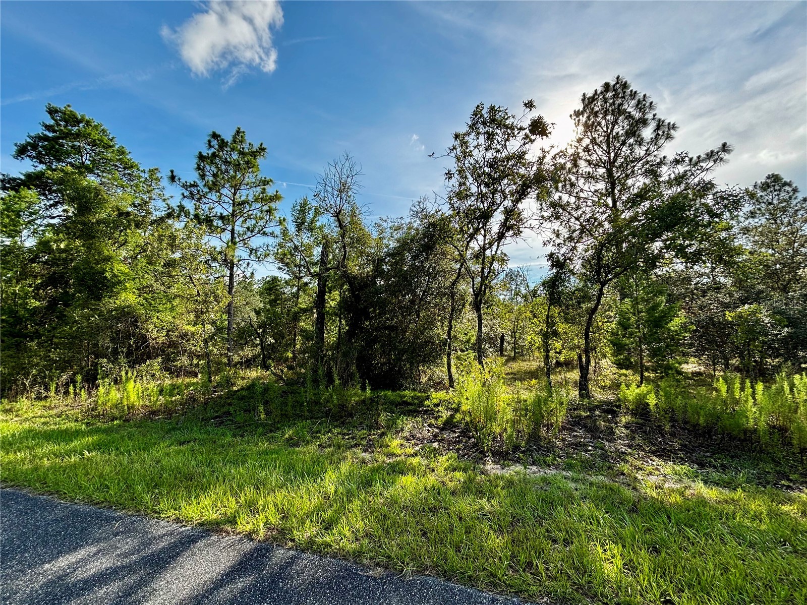 Lot 24 SE 136 TERRACE