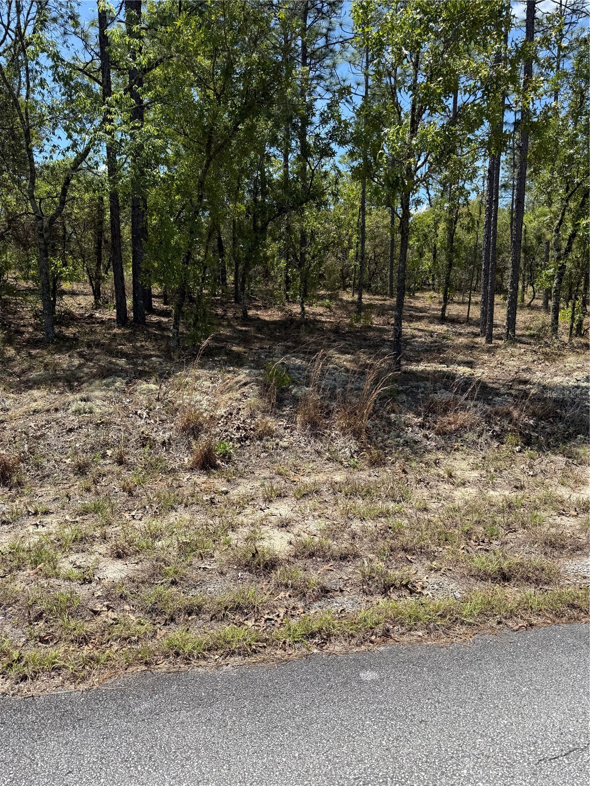 LOT# 8 SW MINEOLA LANE