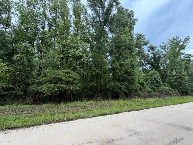 NE 312TH AVENUE