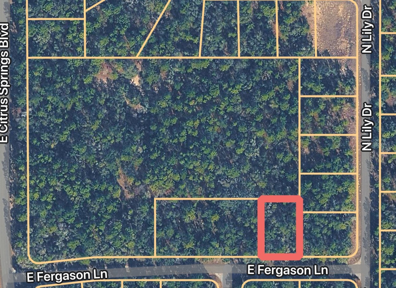 1409 E FERGASON LANE