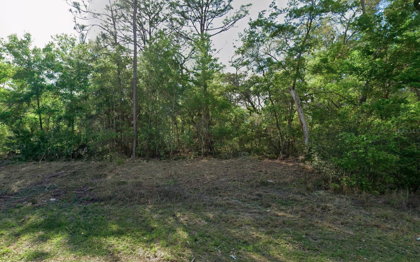 10830 N HATARI DRIVE
